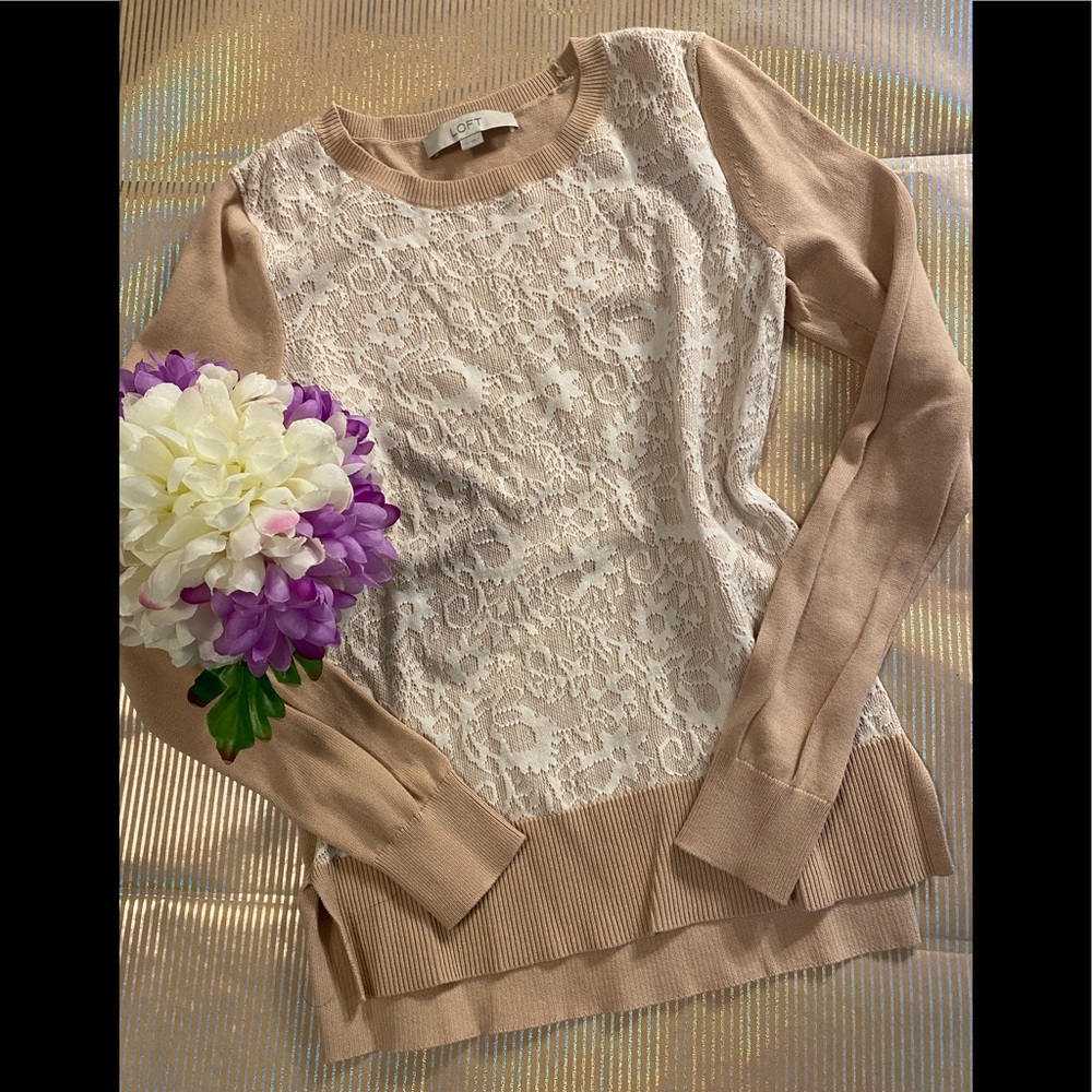 Loft Ann Taylor Sweater